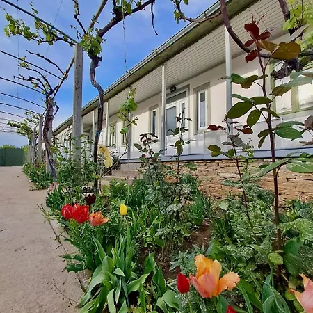 Casa Din Port Tatil Evi Jurilovca