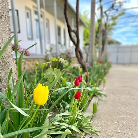 Casa Din Port بيت للعطل *