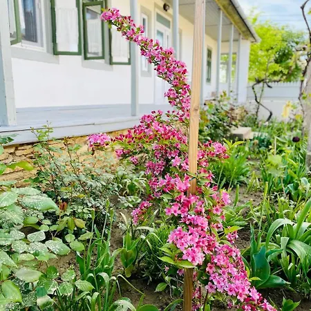 Casa Din Port Дом отдыха